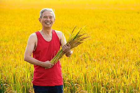 抱着稻子微笑的农民形象图片