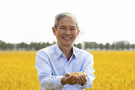 农民站在稻田里手捧稻米图片
