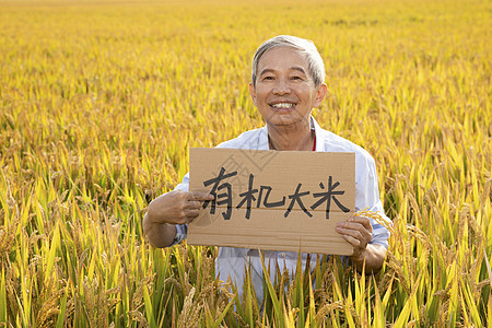 农民拿着有机大米的纸板牌子背景图片