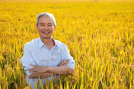 站在稻田里双手抱胸的农民形象图片