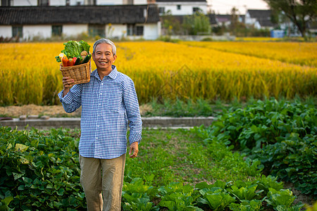 农民抱着一篮子蔬菜走来图片