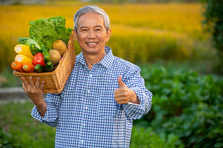 农民扛着一篮蔬菜点赞高清图片