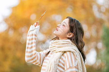 枫叶人物秋季可爱女孩手拿枫叶的背景