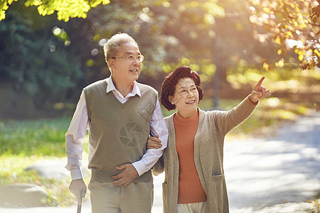 早安人老年夫妇公园散步背景