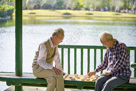 老年人公园下象棋背景