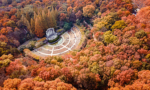 手绘秋叶秋冬南京中山陵音乐台背景