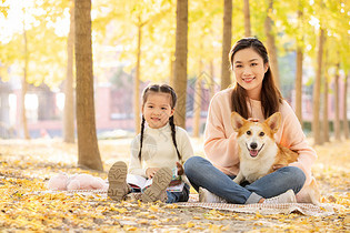 宠物坐在妈妈的怀里图片