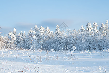 吉林雪岭冰雪风光背景