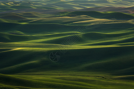 绿色自然风景美国帕卢斯田园风光背景