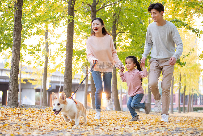 一家三口带着宠物在森林里奔跑图片