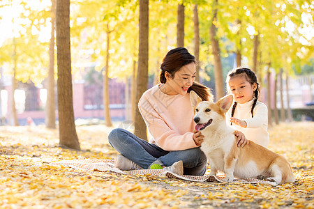 母女睡觉母女两人带着宠物在公园里玩耍背景