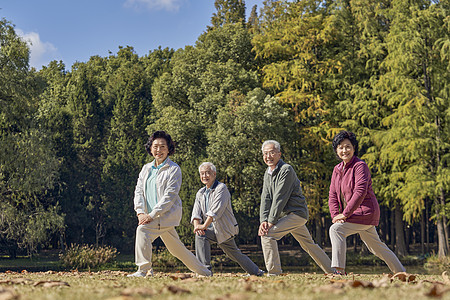 老年人组团公园里运动拉伸高清图片