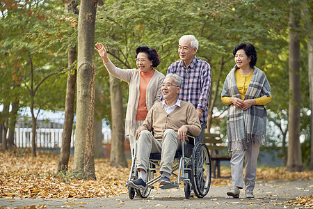 老年人组团公园散步图片