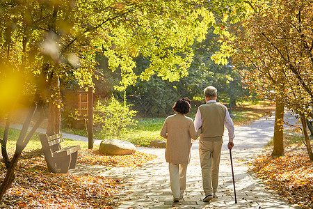 老年夫妇公园散步背影背景图片