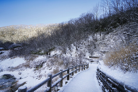 日本北海道雪地栈道旅游风光图片