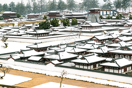 西安大明宫遗址公园雪景图片