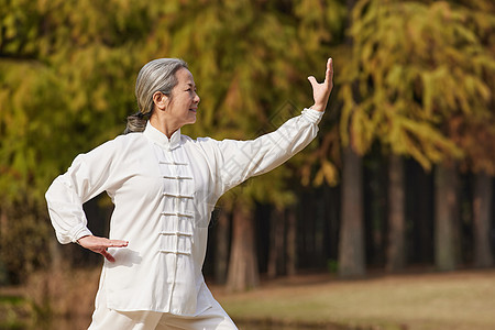 老年养生秋季老奶奶养生运动公园里练太极武术功夫背景