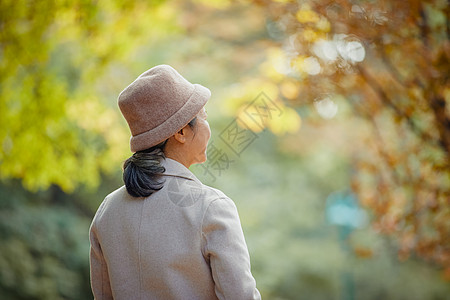 老人散步老年人老奶奶冬季逛公园背影情绪背景