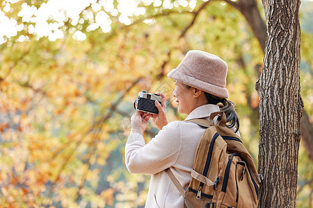 安逸老人逛公园拿相机拍摄秋季风景图片