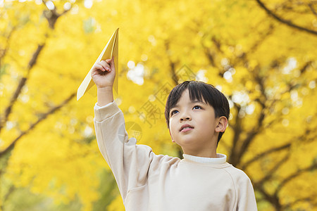 秋季小男孩银杏树下扔纸飞机图片