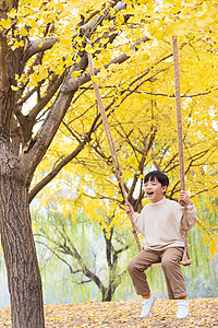 秋季小男孩公园银杏树下荡秋千图片