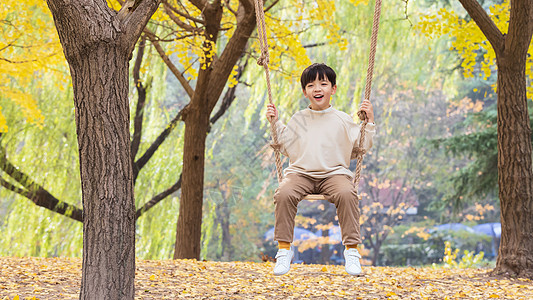 秋色银杏树下小男孩欢乐荡秋千图片