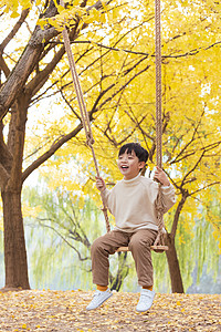 秋季小男孩公园银杏树下荡秋千图片