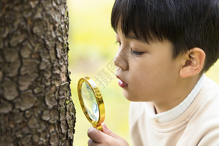 秋季小男孩公园里拿放大镜观察植物图片