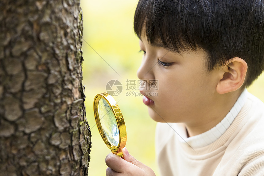 秋季小男孩公园里拿放大镜观察植物图片