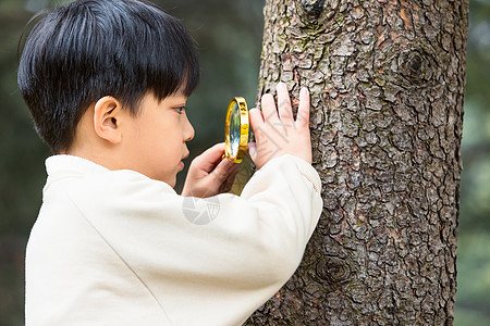 秋季小男孩公园里拿放大镜观察植物图片