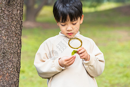 探索发现秋季小男孩公园里拿放大镜观察植物背景