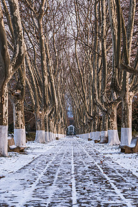 中国江苏南京明孝陵雪景图片