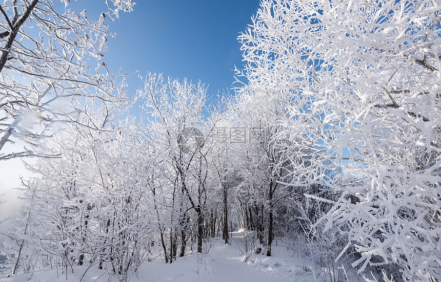 冬天冰雪风光