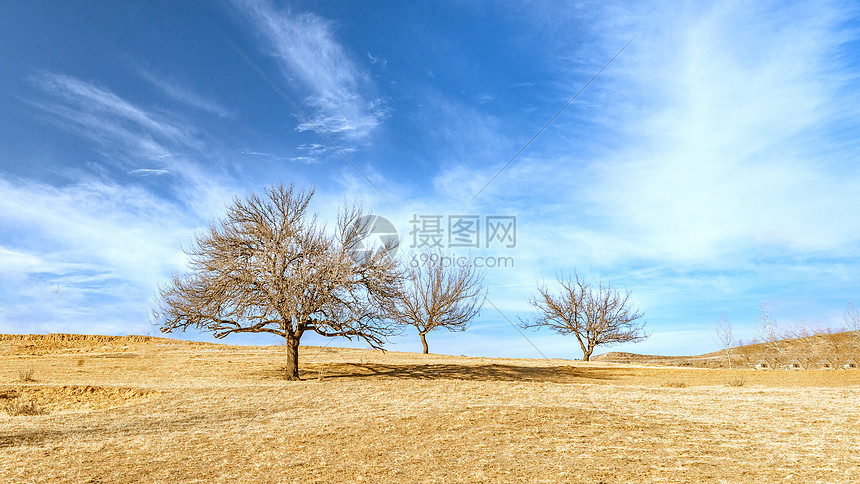  内蒙古草原冬季景观图片