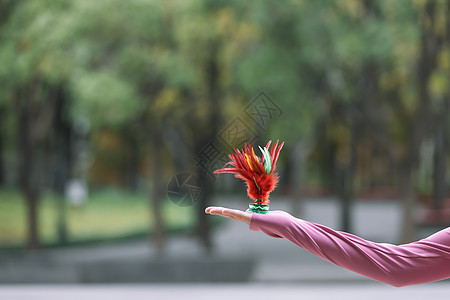 踢毽子女性手托起一个羽毛毽子特写背景