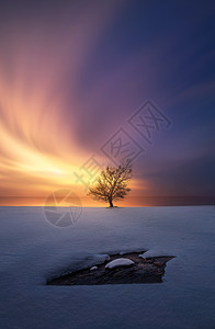 雪景夕阳冬季雪景晚霞背景