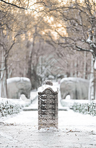 世界文化遗产明孝陵石像路神道冬天的雪景图片