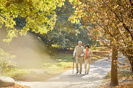 老年夫妇早晨公园散步高清图片