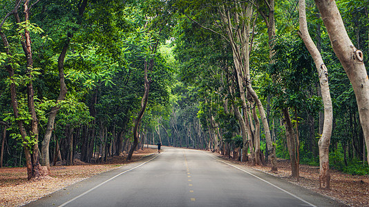 旅行道路公路马路图片