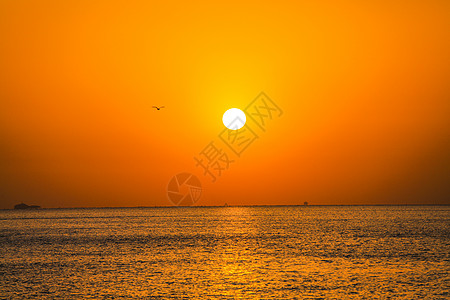 红日东升太阳从海面上升起背景