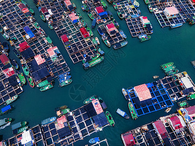 海南椰子树海南陵水疍家渔排背景