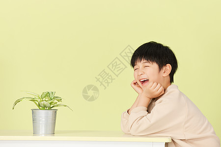 面对植物笑得很开心的小男孩图片