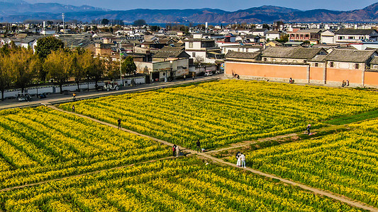 田园春色云南大理喜洲古镇油菜花背景