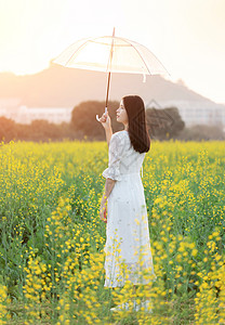 油菜花花海中的少女图片