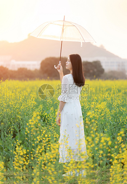 油菜花花海中的少女图片