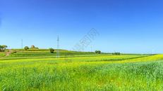 内蒙古农田夏季景观图片