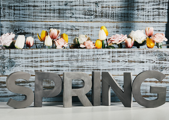 spring 和满是鲜花背景板图片