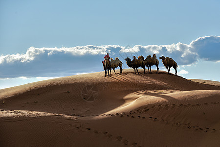 敦煌鸣沙山沙漠骆驼图片