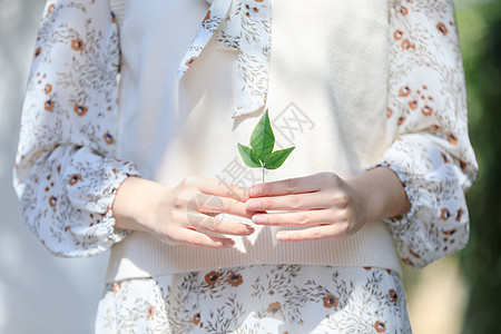 年轻叶子女性拿植物叶子特写背景