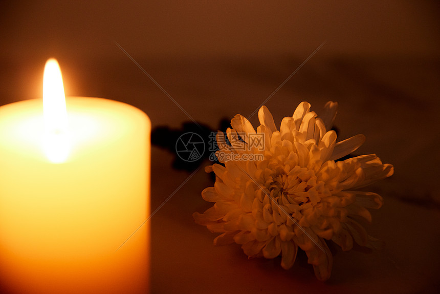 烛光下的白色菊花图片